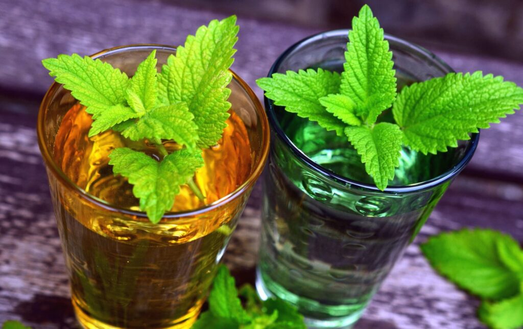 Lemon Balm Tea with Apple and Cayenne