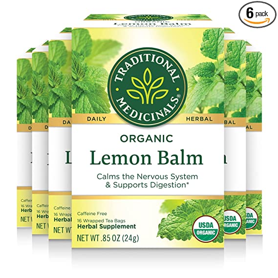 Lemon Balm Tea: Best Ways to Enjoy This Beverage + 8 Benefits 6 manual juicers