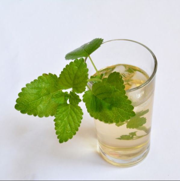 Lemon Balm Tea