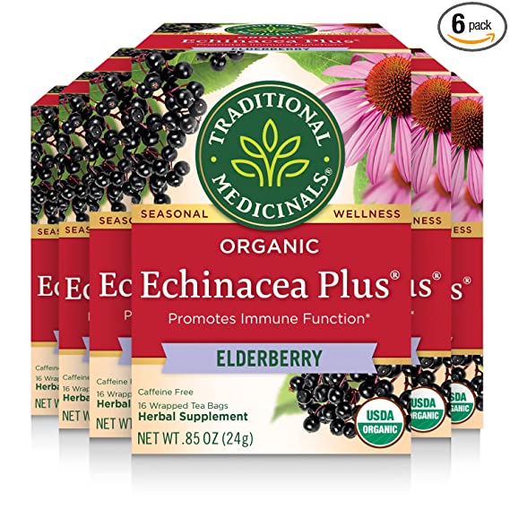 Echinacea Tea: The Ultimate Guide Including 7 Benefits & Side Effects 2 manual juicers