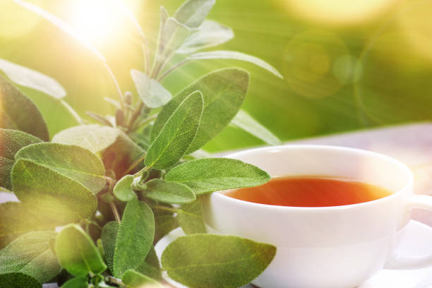 Sage Tea