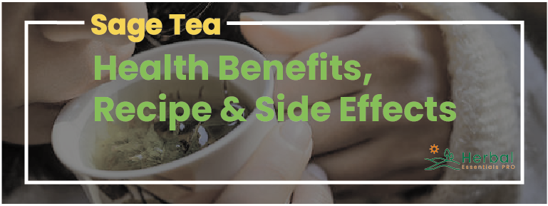 Read more about the article Sage Tea: Health Benefits, Recipe & Side Effects (2022 Guide)