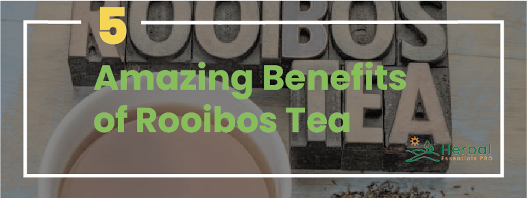 Read more about the article Rooibos Tea: 5 Amazing Benefits That Will Leave You in Awe