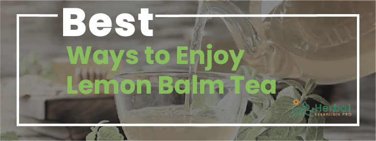 Read more about the article Lemon Balm Tea: Best Ways to Enjoy This Beverage + 8 Benefits